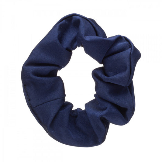 Shiny Nylon Lycra Ballet Dance Gymnastics Hair Scrunchie All Colours