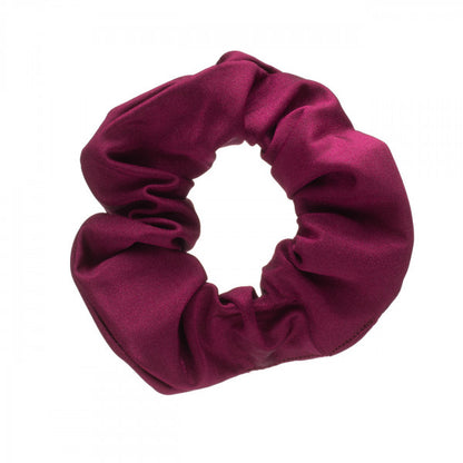 Shiny Nylon Lycra Ballet Dance Gymnastics Hair Scrunchie All Colours