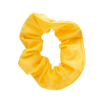 Shiny Nylon Lycra Ballet Dance Gymnastics Hair Scrunchie All Colours