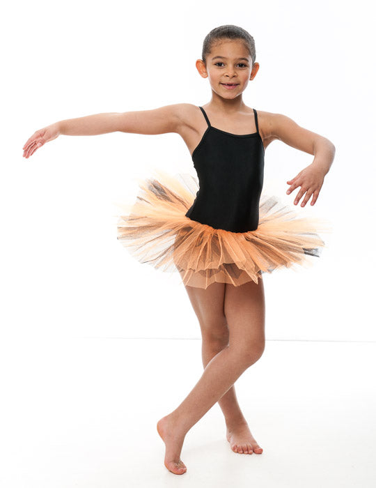 All Colours Two Tone Standard Dance Ballet Tutu